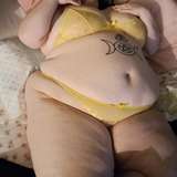 hornbag666 from onlyfans